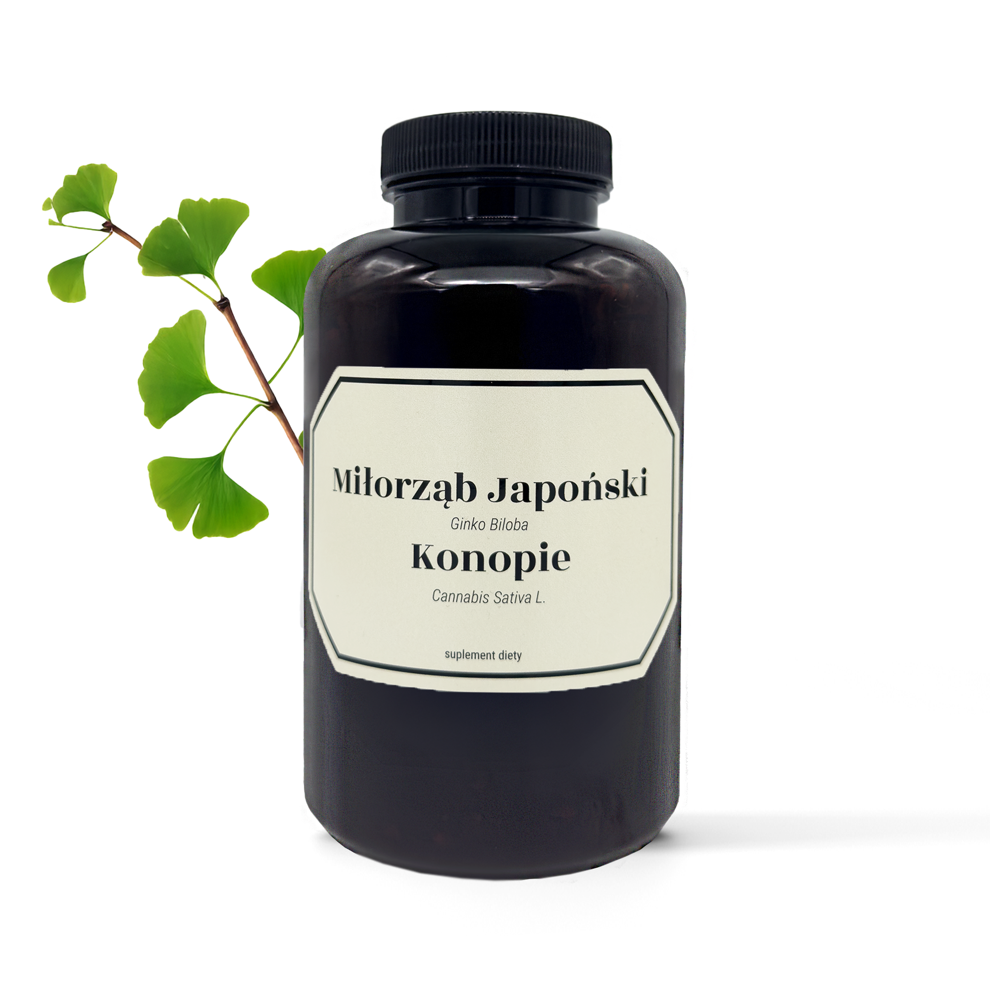 Miłorząb japoński z konopiami