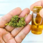 CBD – Gdzie kupić? [3 proste zasady]